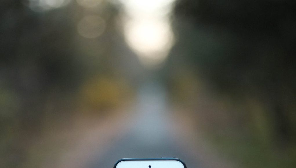 Onayhizmeti2 Onayhizmeti2