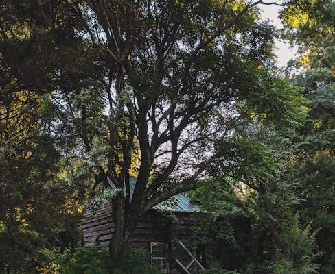 Nesimi Eserleri ve Divan Edebiyatındaki Yeri nesimi works